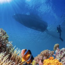 CURSO BUCEO 3 ESTRELLAS – CMAS 3 STAR DIVER