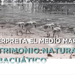 INTERPRETA EL MEDIO MARINO