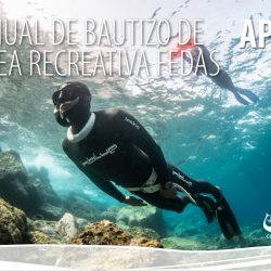 miniatura del curso